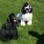 Kelly Greb's profile image