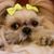Andrea Miranda Issa's profile image