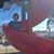 Deborah D'Amico Salerno's profile image