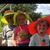 Marcie Mann Wagner's profile image