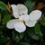 Robyn Ferdon Green's profile image