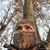 Mark Campbell's profile image