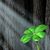 Bonnie Vanwardhuizen's profile image