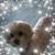 Betty Earles Thompson's profile image