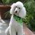 Diane Dunkinson's profile image