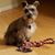 Myriam Hdz's profile image