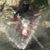 Dustin Hulsey's profile image