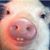 Caleb Gcarlos's profile image