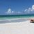 SallyAnn Pampinella-Biase's profile image