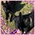 Melissa Reasoner's profile image