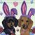 Dorothy Sparkman Reed's profile image