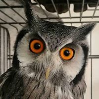 Larry Forman's profile image