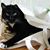 Glenda Jones's profile image