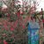Linda Bickham Taylor's profile image