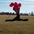 Michelle Buglio's profile image