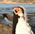 Nancy Cruz's profile image