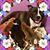 Jessi Lemler's profile image