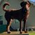 Christian Barton's profile image
