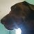 Debbie Hoar's profile image