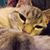 Kay Hendrixson's profile image