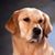 Gayle Cooley's profile image