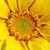 Robert Phillips's profile image
