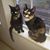 Mary Jo Withey's profile image
