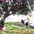 Caroline Suarez Valteau's profile image