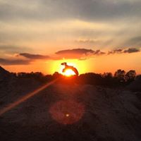 Sam Markovich's profile image