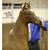 Derek Goetzinger's profile image