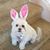 Linda Eldredge's profile image
