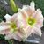 Jean Marsh's profile image