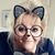 Diane Harroun's profile image