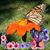 Yami Triguero's profile image
