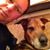 Glen McCready's profile image