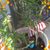 Linda L. Follendorf's profile image