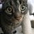 Kelly Smith's profile image