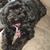 Sheila James-Myers's profile image