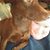 Pamela Howard-Curtis's profile image
