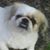 Gail Connell's profile image