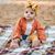Shannon Wash's profile image