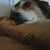 Anthony Vito Susco's profile image