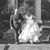 Sarah Powe Collins's profile image