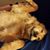 Rich Ward's profile image