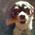 Myra Freberg's profile image