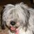 Carol Otis Wade's profile image