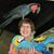 Robin Ward Gentile's profile image