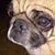 LuAnn Foty's profile image