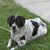 Linda Radosevic's profile image