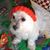 Maggie Moore's profile image